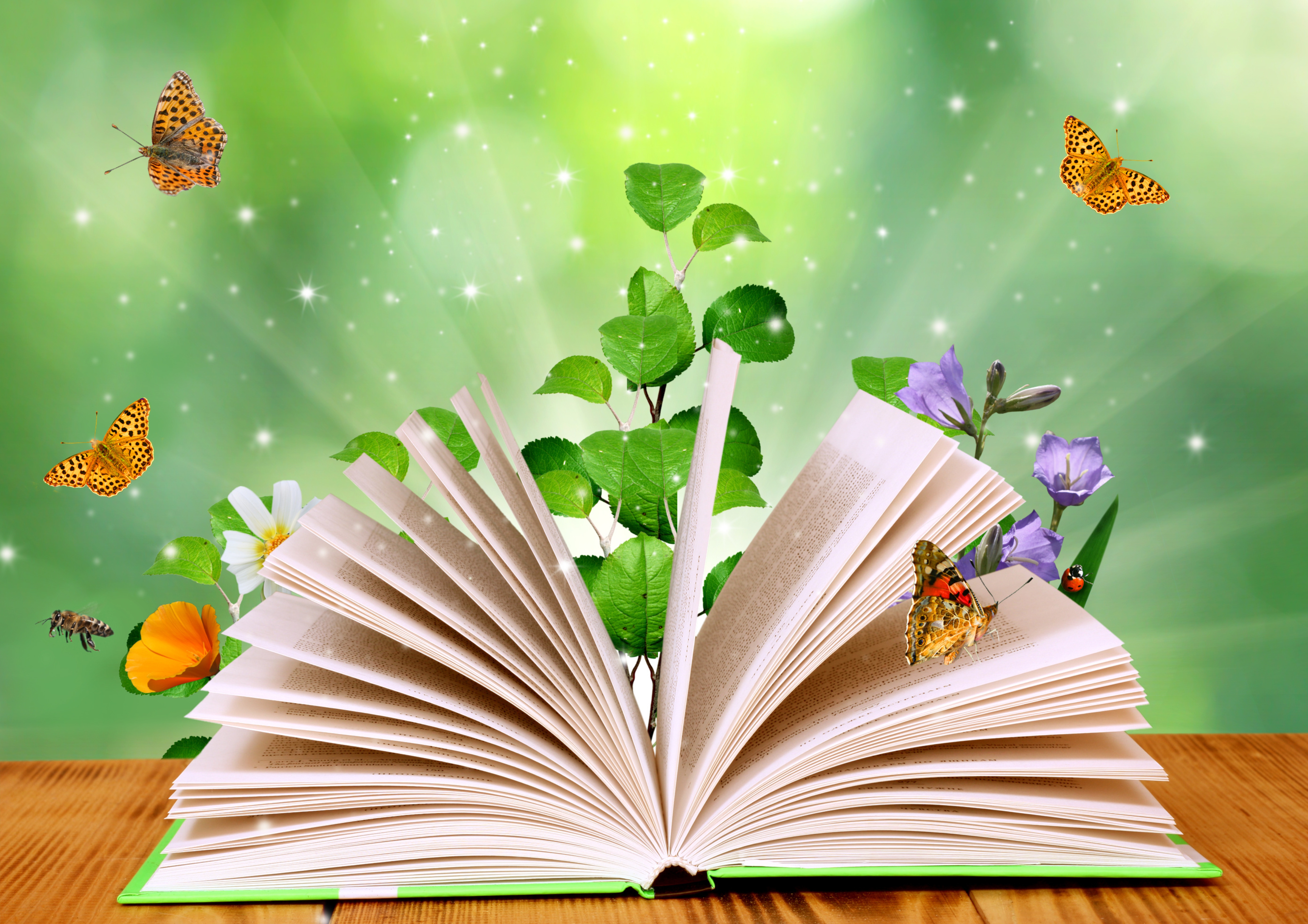 Гуманітарний