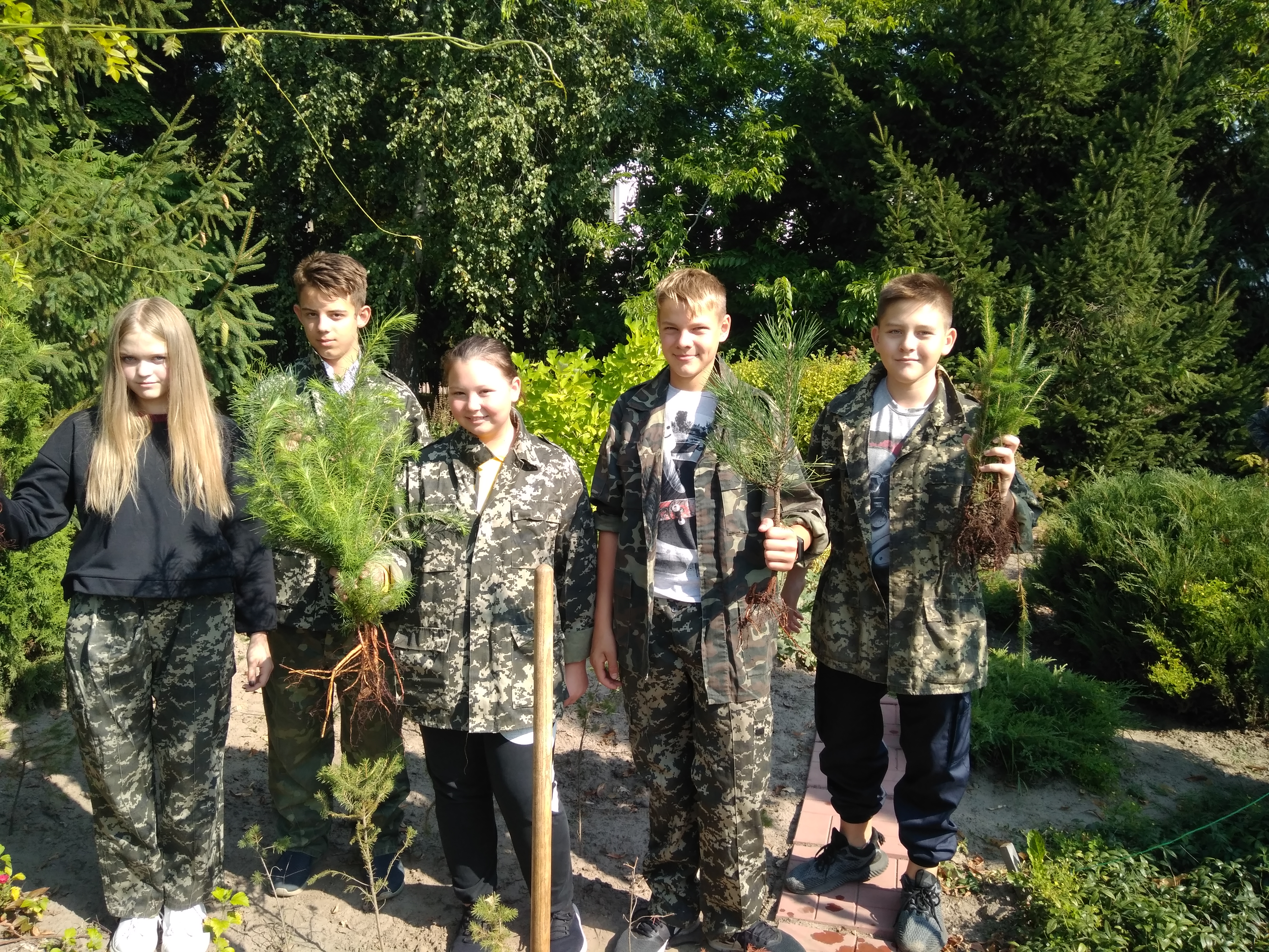 Посадка дерев