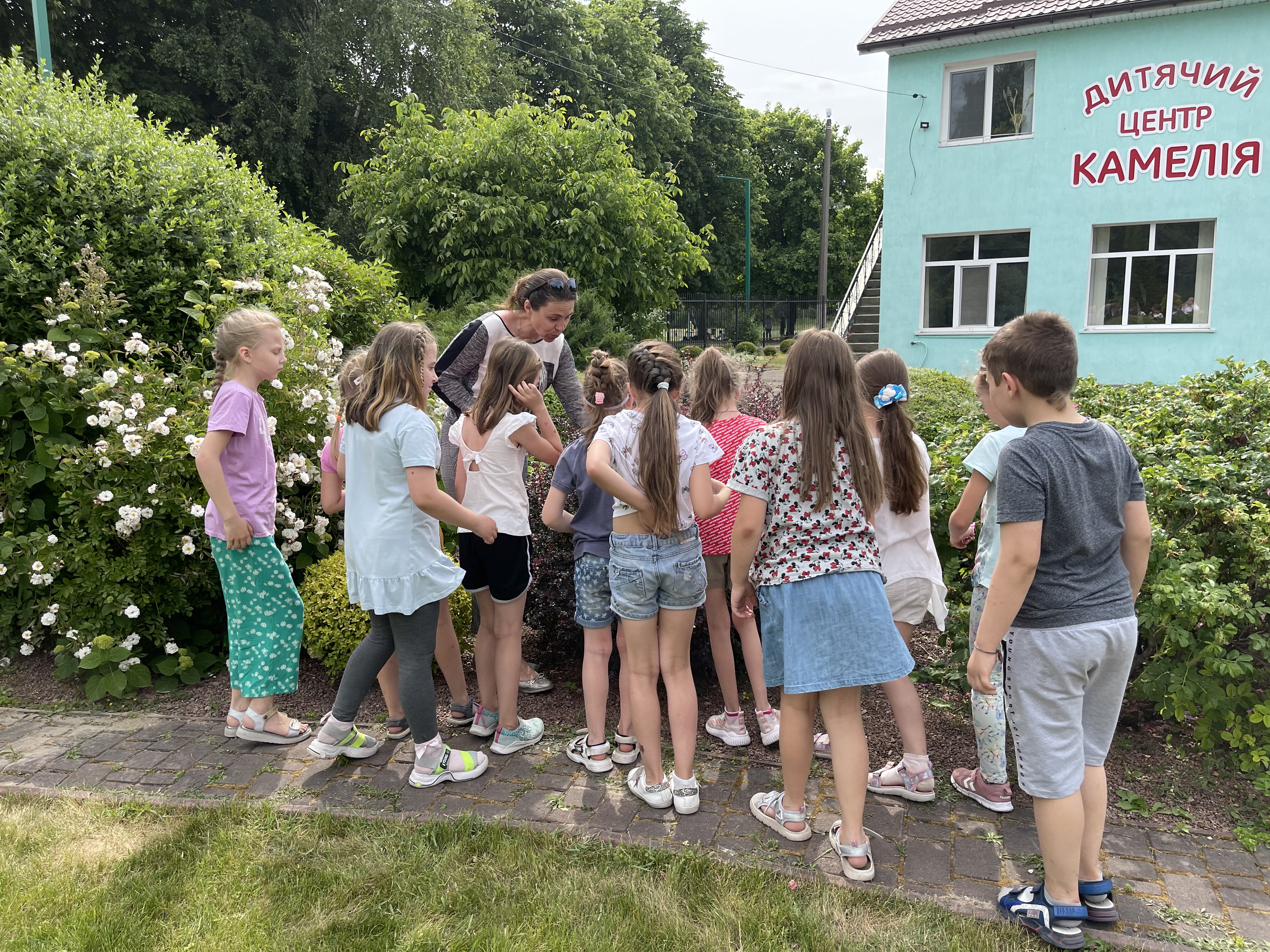 Вивчення дерев