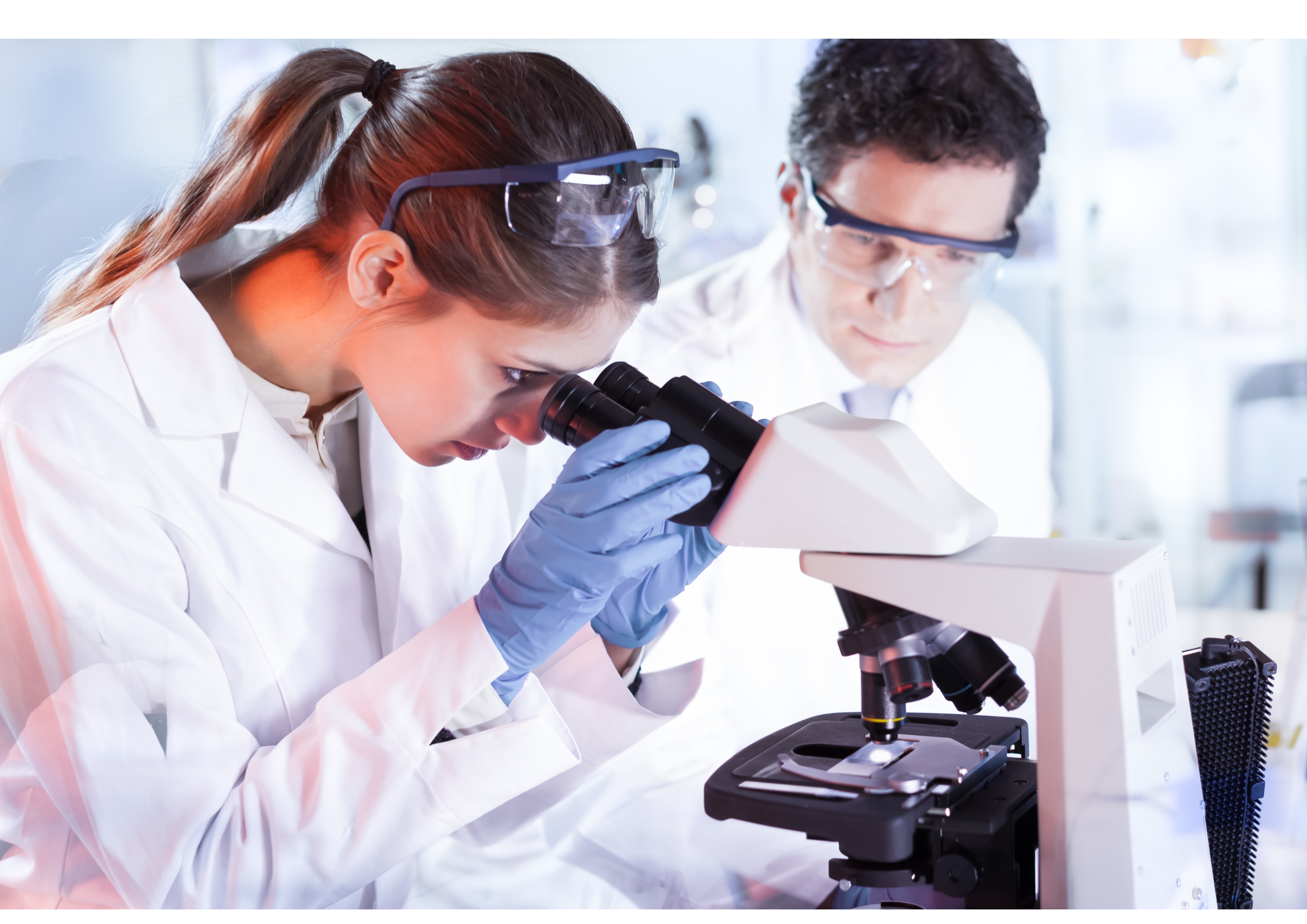 Наукове товариство Пошук