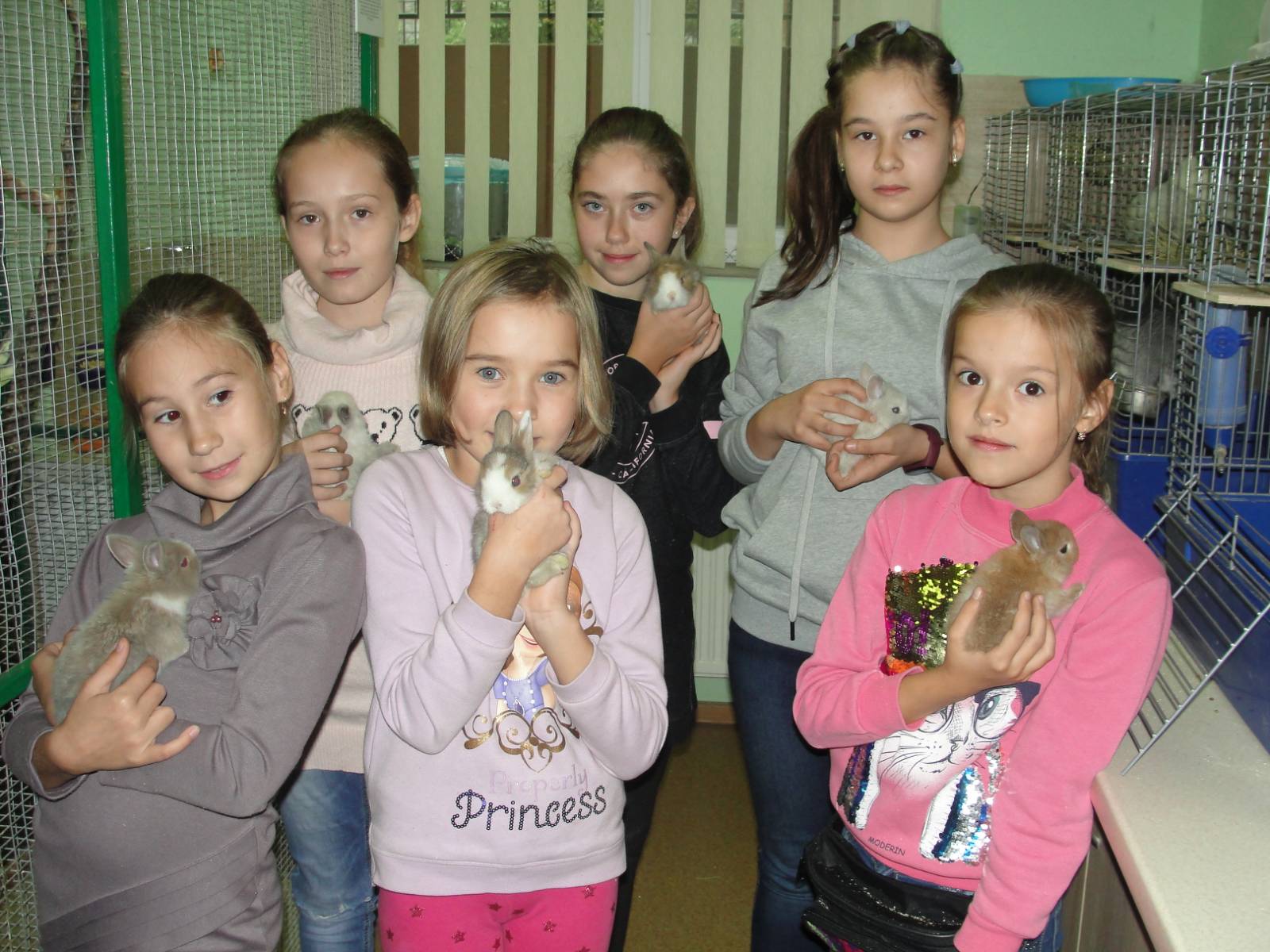 Заняття з ветеринарії